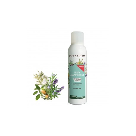 AROMAFORCE SPRAY ASSAINISSANT RAVINTSARA EUCALYPTUS GLOB BIO 150 ML PRANAROM