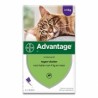 ADVANTAGE 80 CAT + DE 4 KG SPOT-ON 4 X 0.8 ML