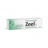 ZEEL T CREME ARTHROSE 100G